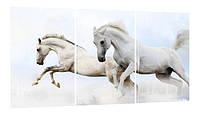 Модульная картина на холсте на стену для интерьера/спальни/офиса DK Две белые лошади 100x180 см (MK30009_X)