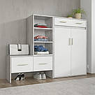 Тумба двохдверна для передпокою 160 см шириною Взуттєвий шафа Сучасна передпокій в коридор з ДСП, фото 4