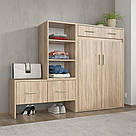 Тумба двохдверна для передпокою 160 см шириною Взуттєвий шафа Сучасна передпокій в коридор з ДСП, фото 5