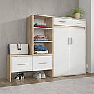 Тумба двохдверна для передпокою 160 см шириною Взуттєвий шафа Сучасна передпокій в коридор з ДСП, фото 6