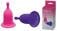 Менструальные чаши фиолетового и розового цветов Boss series Minds of Love 2 штуки Nomax