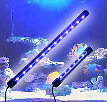 Лампа світлодіодна Xilong Т4-20E, Blue, 2.5 Вт, 14.5 см. Освітлення для всіх типів акваріума, фото 4