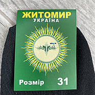 Шкарпетки чоловічі бавовна із сіткою ялинка Premium, Житомир, розмір 31, чорні, 08676, фото 5