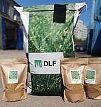 Конюшина (клевер) низькоросла біла Rivendel, DLF Trifolium (ДАНІЯ) Свіжа поставка!, фото 6