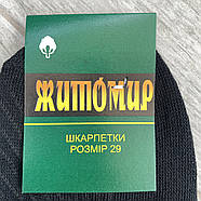 Шкарпетки чоловічі бавовна із сіткою ялинка Житомир, розмір 27, чорні, 08682, фото 5