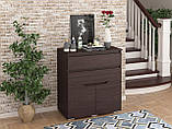 Комод ЄК-02 Комод з висувними шухлядами та закритою тумбою 800 мм., фото 2