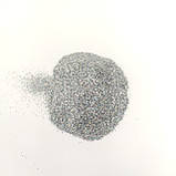 Глітер класичний преміум Срібний 10г, фото 3