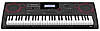 Синтезатор CASIO CT-X5000C7, фото 2