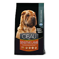 Сухой корм для взрослых собак средних и крупных пород Farmina Cibau Sensitive Lamb Medium/Maxi ягненок 12 кг