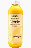 Мікродобриво фосфорно-калійне Атланта Atlantica Vitera — 1 л