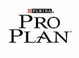 Pro Plan