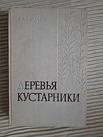 Деревья и кустарники. А. А. Качалов. 1970 год