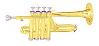 Труба пикколо MAXTONE TTC6L Piccolo Trumpet BIC