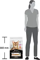 Сухий корм для дорослих котів Purina Pro Plan Adult 1+ Derma Care для підтримки шкіри та вовни з лососем 10 кг, фото 6