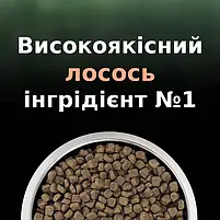 Сухий корм для стерилізованих котів Purina Pro Plan LiveClear від алергенів на шерсті з лососем 1.4 кг, фото 10