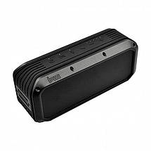 Колонка портативна Bluetooth Divoom Voombox-Power Black (617148), фото 2