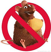 Засіб боротьби з домашніми шкідниками