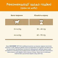 Сухий корм для дорослих котів Purina Cat Chow Adult з качкою 15 кг, фото 9