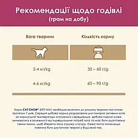Сухий корм для котів Purina Cat Chow Urinary підтримка здоров'я сечовивідної системи з куркою 1.5 кг, фото 7
