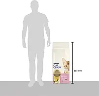 Сухий корм для кошенят Purina Cat Chow Kitten з куркою 15 кг, фото 5