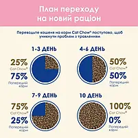 Сухий корм для кошенят Purina Cat Chow Kitten з куркою 15 кг, фото 11