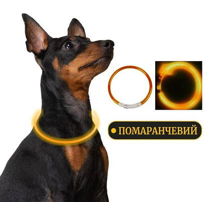 Нашийник для собак світлодіодний з підсвічуванням (жовтий L 70см)