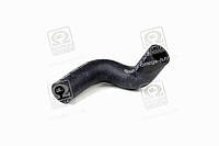 Патрубок радиатора HYUNDAI ACCENT/GETZ/MATRIX, KIA RIO/CERATO (-OCT 2006) (пр-во PARTS-MALL) PXNMA-088 Ukr