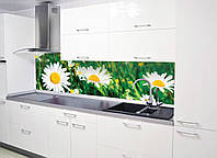 Скинали на кухню Zatarga "Солнечные ромашки" 600х2000 мм зеленый виниловая 3Д наклейка кухонный фартук