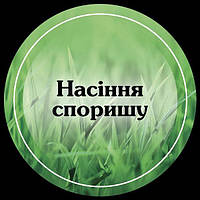 Насіння Спориш (горець пташиний) 1кг, альтернатива вічно зеленого газону | Спориш насіння для газону