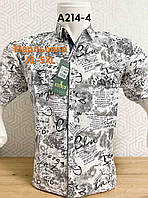 Рубашка с коротким рукавом GGM classik марлевка