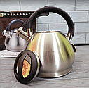 Чайник зі свистком із неіржавкої сталі 3.5 л Edenberg EB-1974/Чайник для плити, фото 6