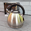 Чайник зі свистком із неіржавкої сталі 3.5 л Edenberg EB-1974/Чайник для плити, фото 5