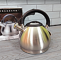 Чайник зі свистком із неіржавкої сталі 3.5 л Edenberg EB-1974/Чайник для плити, фото 4