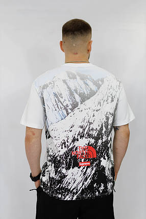 Футболка чоловіча THE NORTH FACE, фото 2