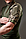 Бойова Літня Тактична Сорочка Убакс (UBACS) з коротким рукавом, мультикам, фото 4