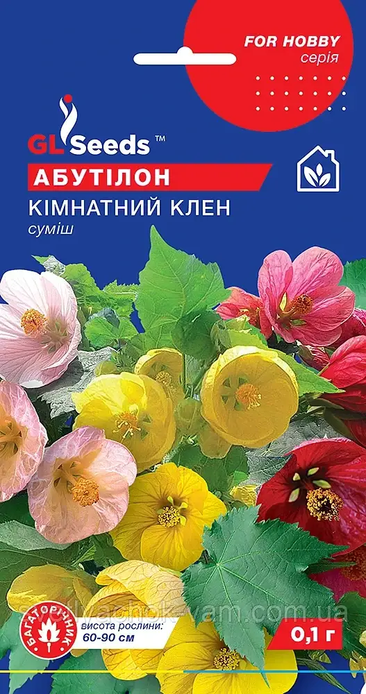 Абутілон Кімнатний Клен суміш ефектний компактний невибагливий чагарник Abutilon, упаковка 0,1 г