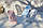 BabyBjorn - Крісло-шезлонг Bouncer Bliss Cotton Petal Quilt, Blue (блакитний), фото 5