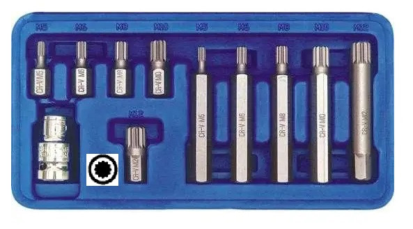 Набір насадки біти SPLINE спеціальні 1/2" 11шт зірочка VOREL-66770