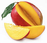 Олія манго рафінована 25 г, фото 2