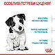 Сухий корм Royal Canin Mini Puppy (Роял Канін Міні Паппі) для цуценят дрібних порід, 0.8КГ, фото 5