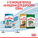 Сухий корм Royal Canin Mini Puppy (Роял Канін Міні Паппі) для цуценят дрібних порід, 0.8КГ, фото 7