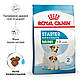 Сухий корм Royal Canin Mini Starter (Роял Канін Міні Стартер) для цуценят, вагітні та годуючі суки, 1КГ, фото 3
