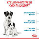 Сухий корм Royal Canin Mini Starter (Роял Канін Міні Стартер) для цуценят, вагітні та годуючі суки, 1КГ, фото 4