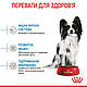 Акція! Сухий корм Royal Canin X-Small Puppy для цуценят мініатюрних порід, 1.5 КГ + діспенсер для пакетів у подарунок!, фото 10