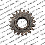 Шестерня Т-16 Д-21, перехідна, привода гідронасоса, Z=19, СШ24.22.103-2, фото 2