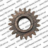 Шестерня Т-16 Д-21, перехідна, привода гідронасоса, Z=19, СШ24.22.103-2, фото 4