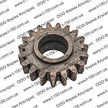 Шестерня Т-16 Д-21, перехідна, привода гідронасоса, Z=19, СШ24.22.103-2, фото 3