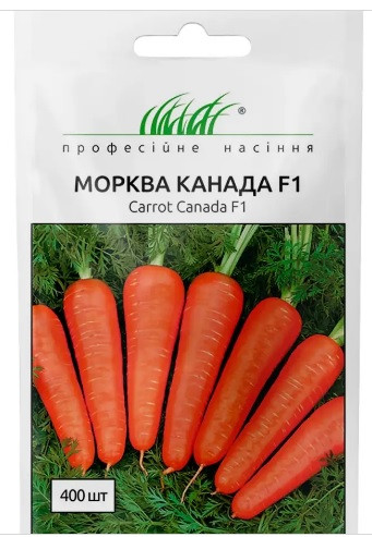 Морква пізня Канада F1  0,5гр Професійне насіння Нидерланды, фото 1