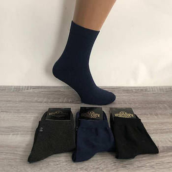 Шкарпетки чоловічі щільні бавовна Comfort класика Україна чорний
