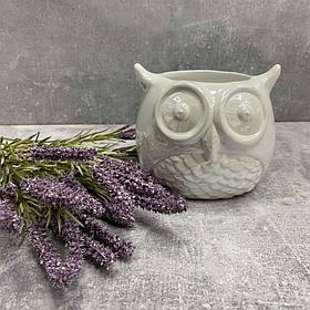 Ваза керамічна Сова 10 см білий BonaDi 733-377